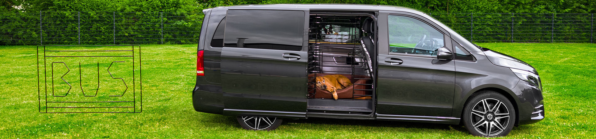 Van mit Hundeschutzgitter im Innenraum auf einer Wiese