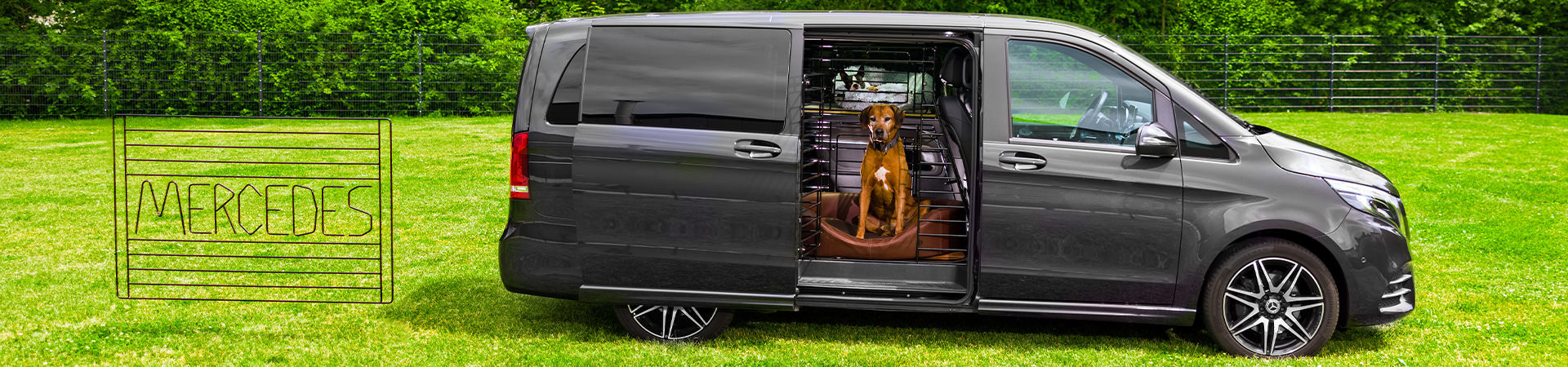 Mercedes Transporter mit einem Hundeschutzgitter im Innenraum auf einer Wiese