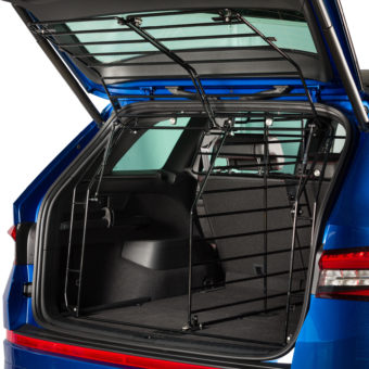 Skoda – Kodiaq von 2017 – heute – Braun