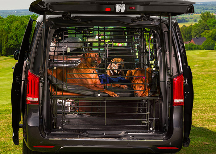 Auto Gitter Hund – Die 15 besten Produkte im Vergleich